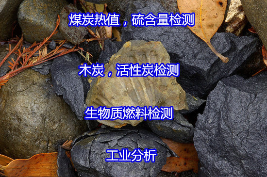 吴川市木屑生物质工业分析专业实验室