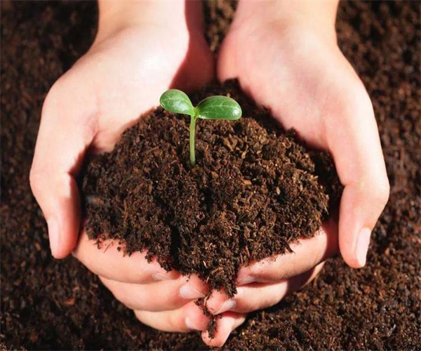 水田土壤营养成分检测 种植土壤有机质含量检测